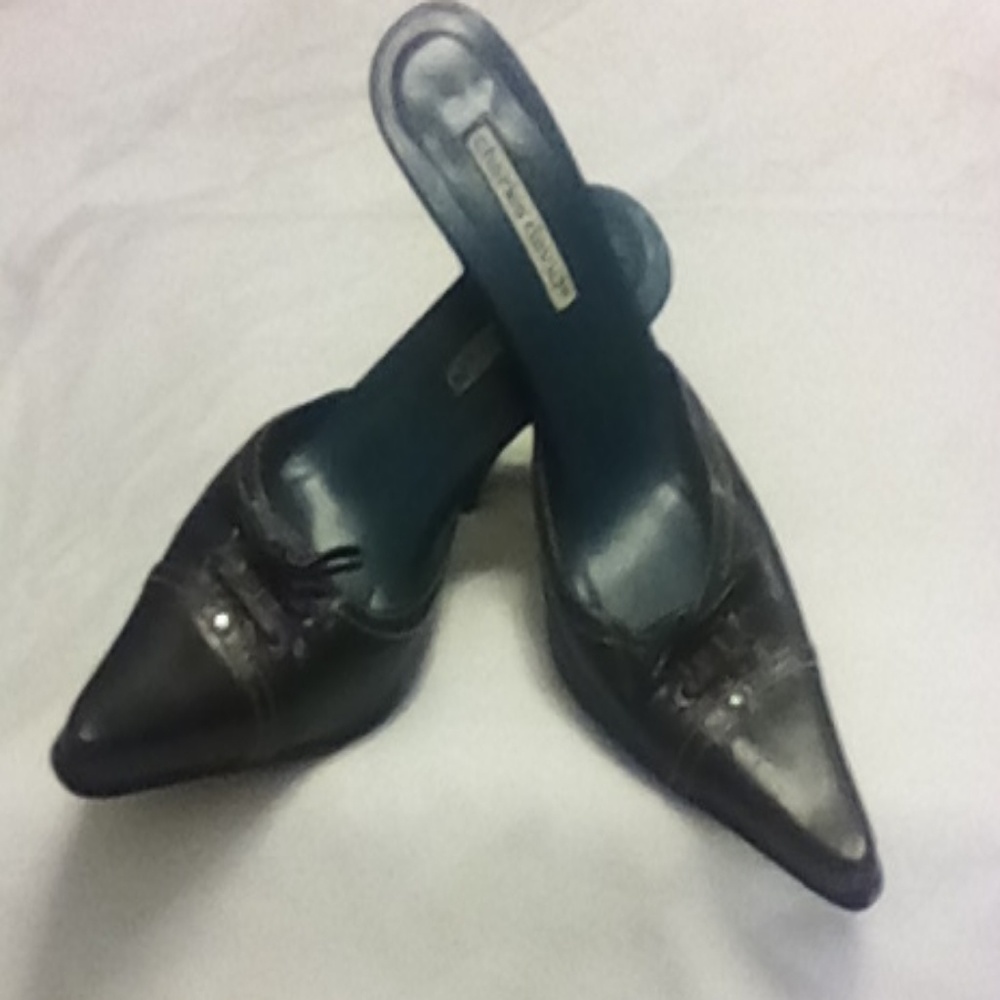 Charles David slides